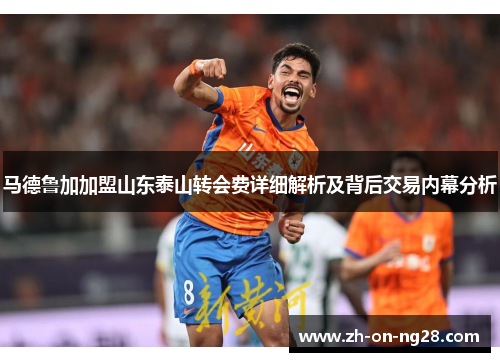 马德鲁加加盟山东泰山转会费详细解析及背后交易内幕分析