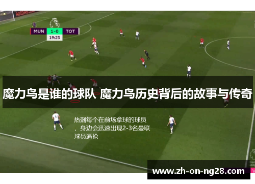 魔力鸟是谁的球队 魔力鸟历史背后的故事与传奇