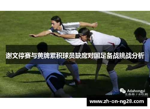 谢文停赛与黄牌累积球员缺席对国足备战挑战分析