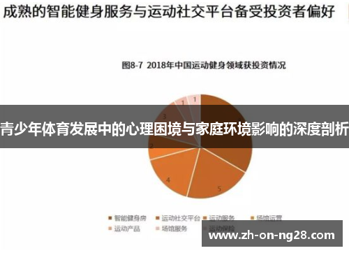 青少年体育发展中的心理困境与家庭环境影响的深度剖析