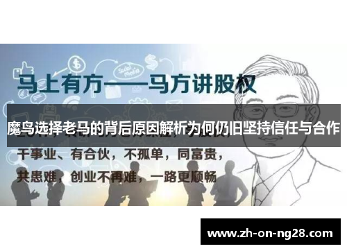 魔鸟选择老马的背后原因解析为何仍旧坚持信任与合作