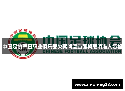 中国足协严查职业俱乐部欠薪问题逾期将取消准入资格