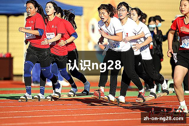 认识ng28